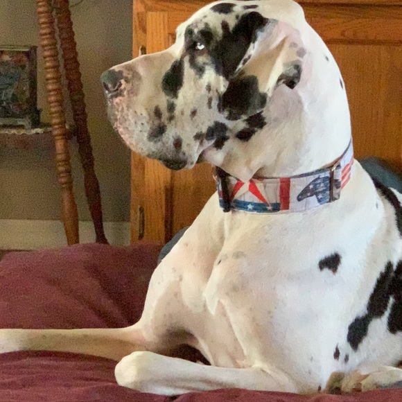 Meet your Posher, Denise - Picture 10 of 16